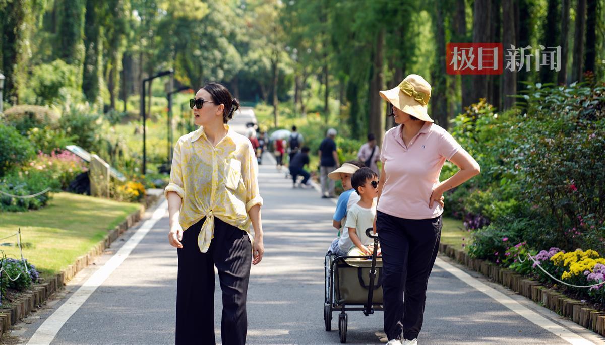 大奖网官网下载